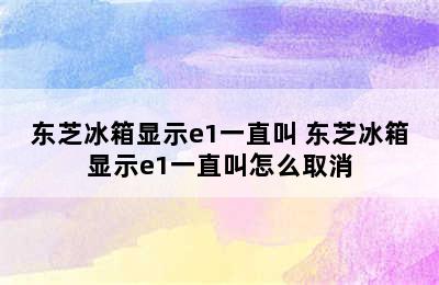 东芝冰箱显示e1一直叫 东芝冰箱显示e1一直叫怎么取消